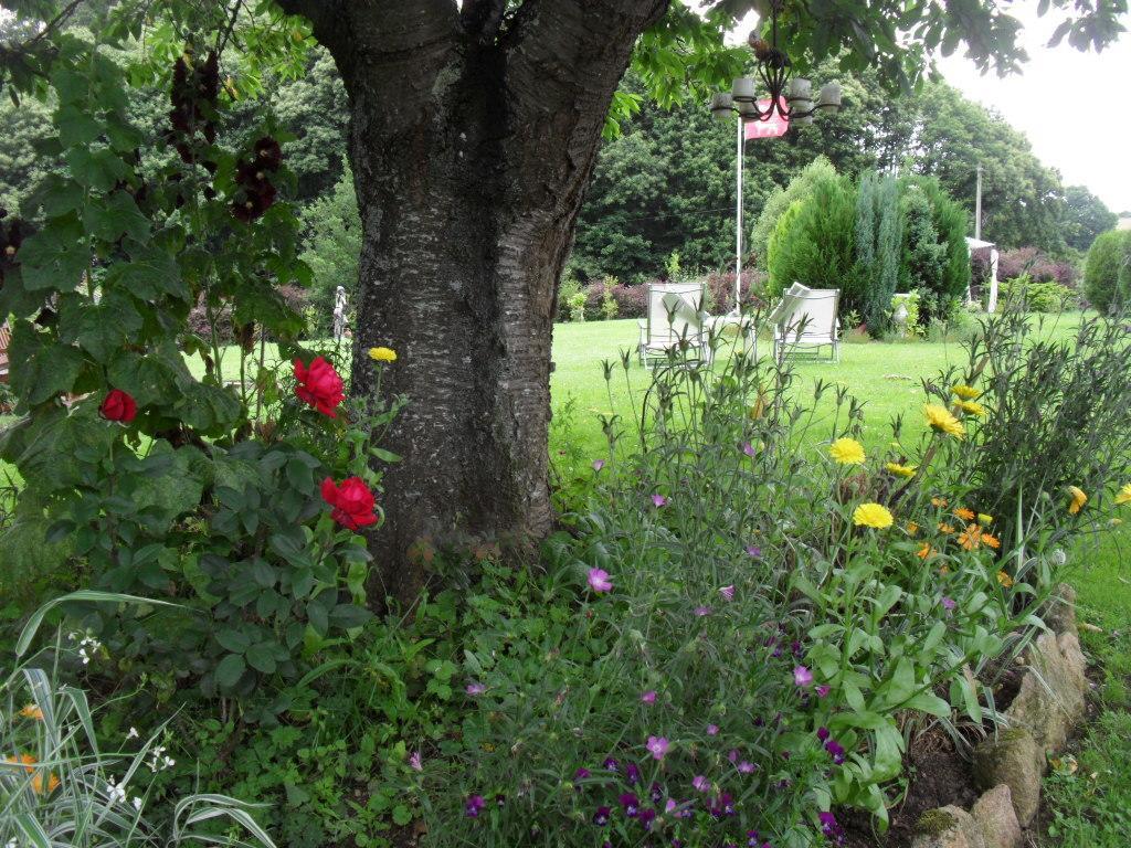 La Chevallerie B&B Isigny-le-Buat Εξωτερικό φωτογραφία
