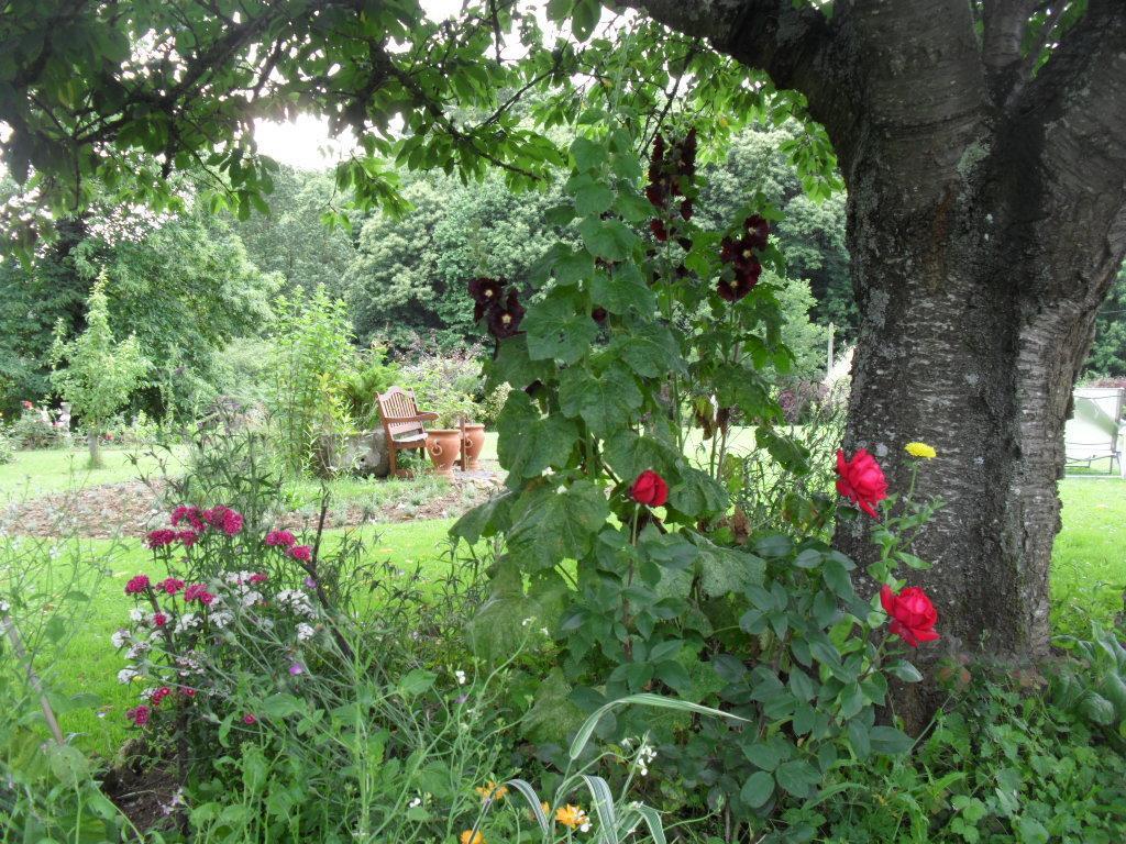 La Chevallerie B&B Isigny-le-Buat Εξωτερικό φωτογραφία