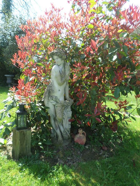 La Chevallerie B&B Isigny-le-Buat Εξωτερικό φωτογραφία