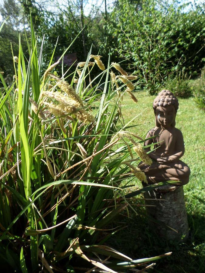 La Chevallerie B&B Isigny-le-Buat Εξωτερικό φωτογραφία